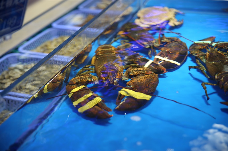 天然海水养殖海鲜
