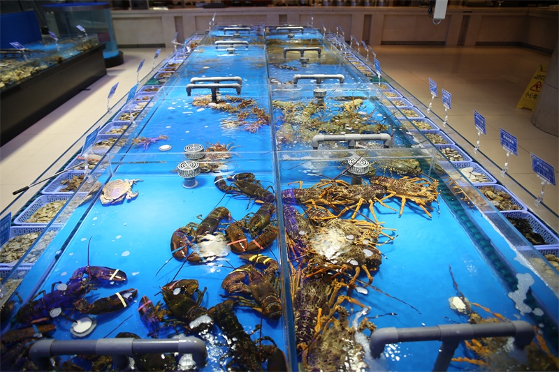 天然海水养殖海鲜